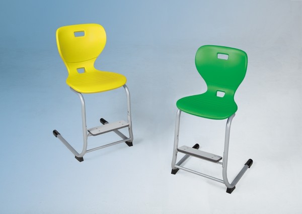 Ergostar Step