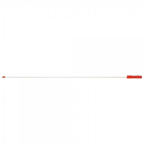 Zeigestock